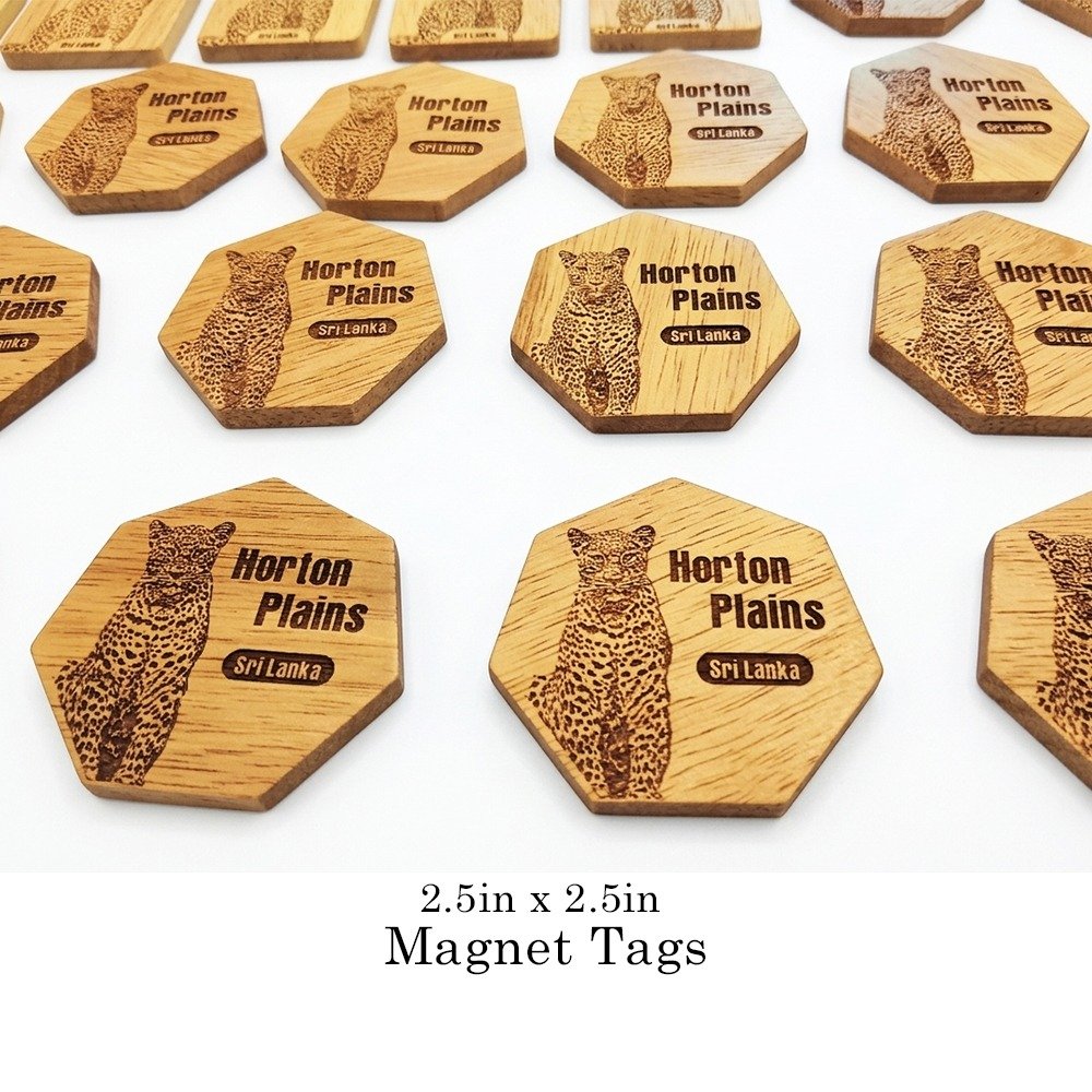 The MagTimber Tag